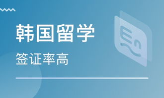 石家莊自費(fèi)留學(xué)韓國(guó) 如何選擇可靠的中介服務(wù)